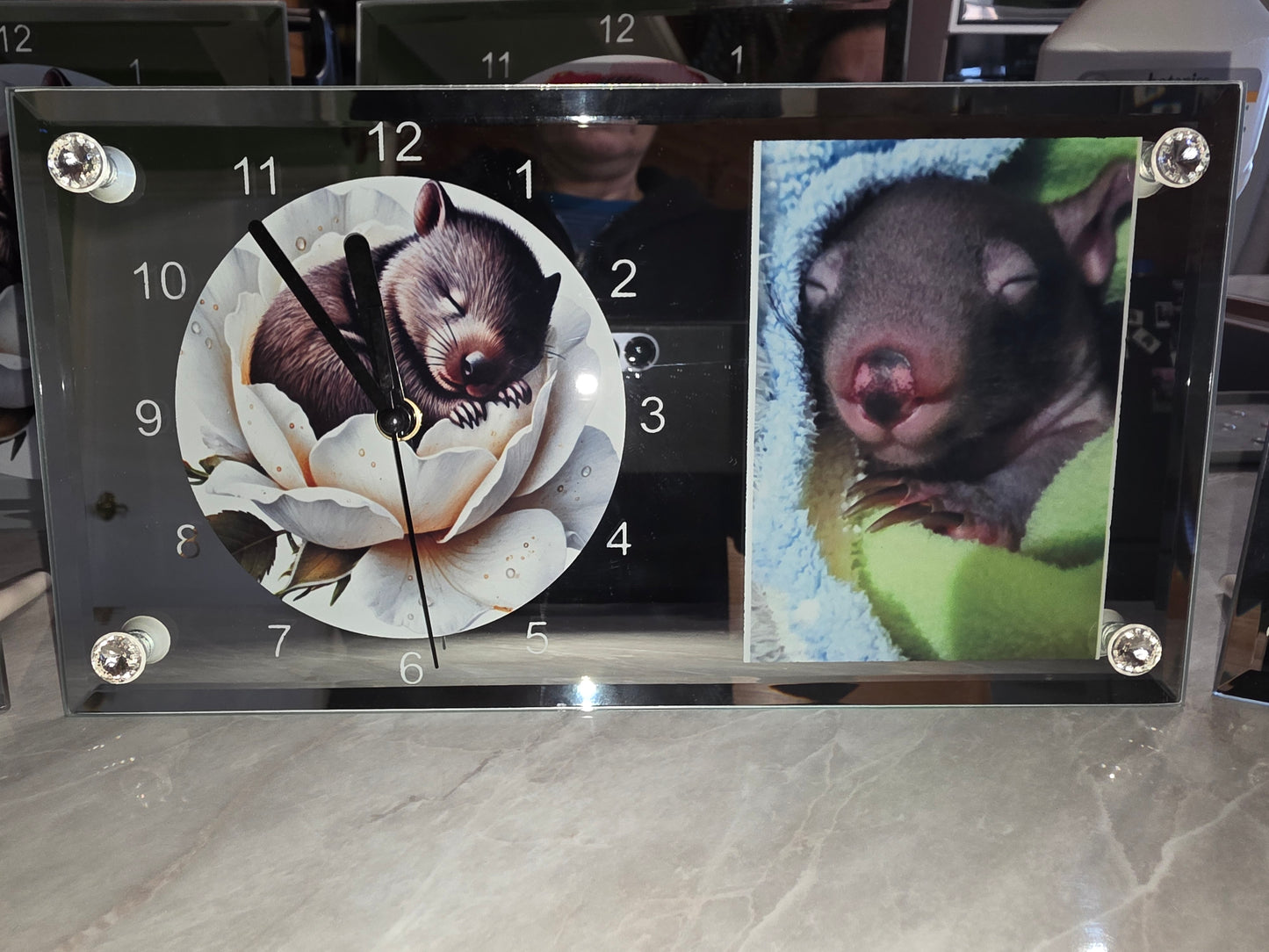 Wombat wisdom clocks