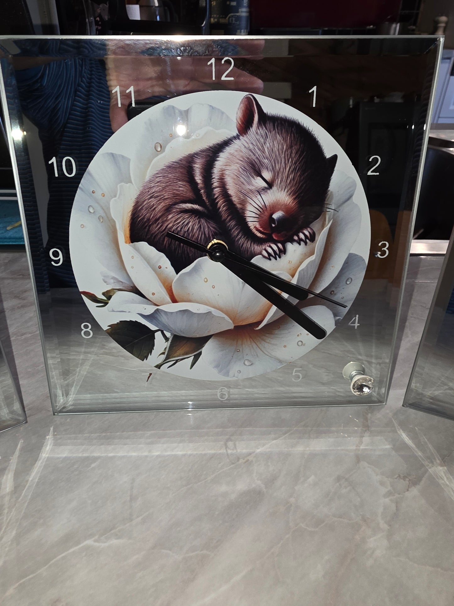 Wombat wisdom clocks