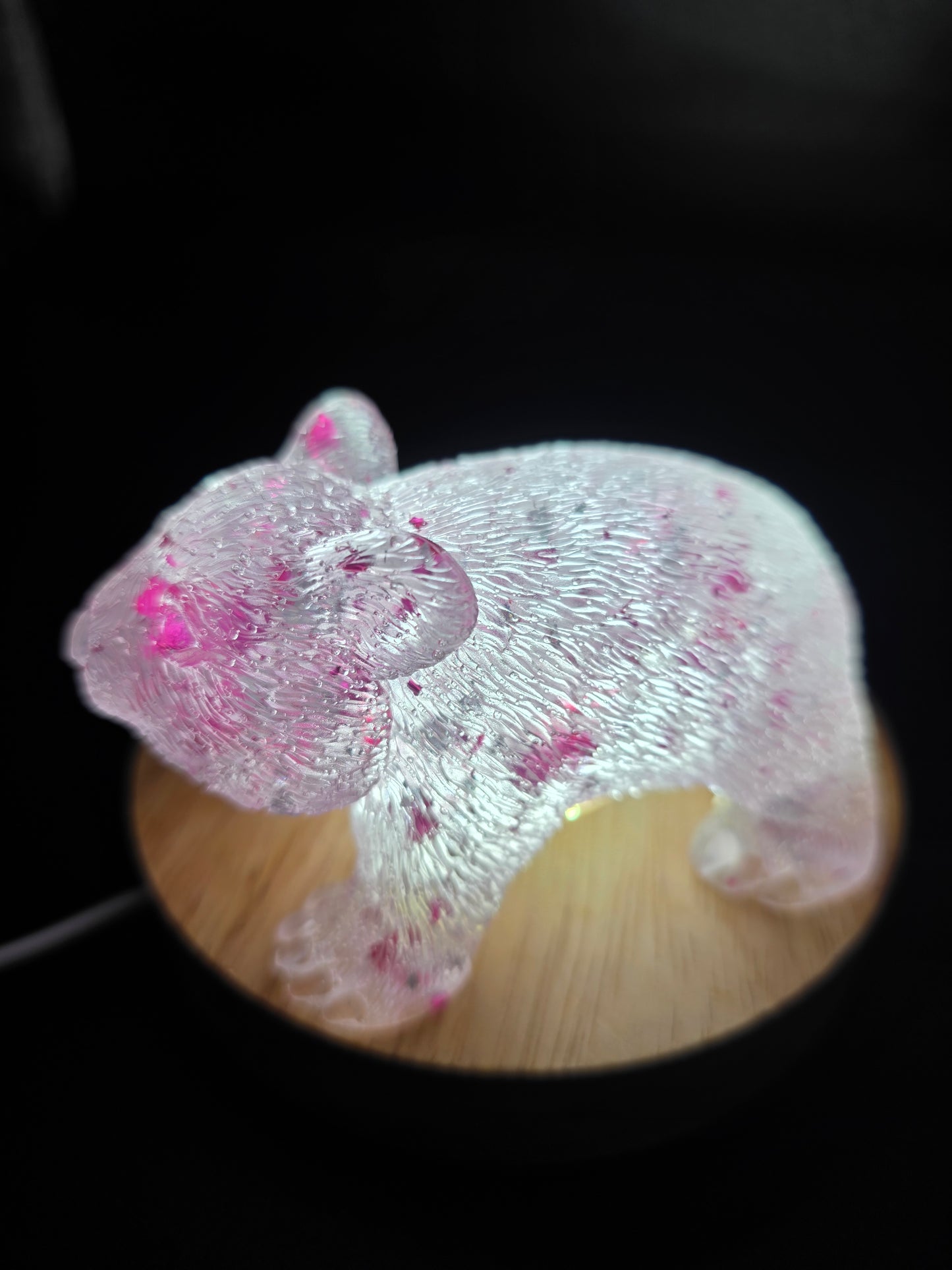 🐾 Resin Wombats – Single or Night-Light Combo 🐾
