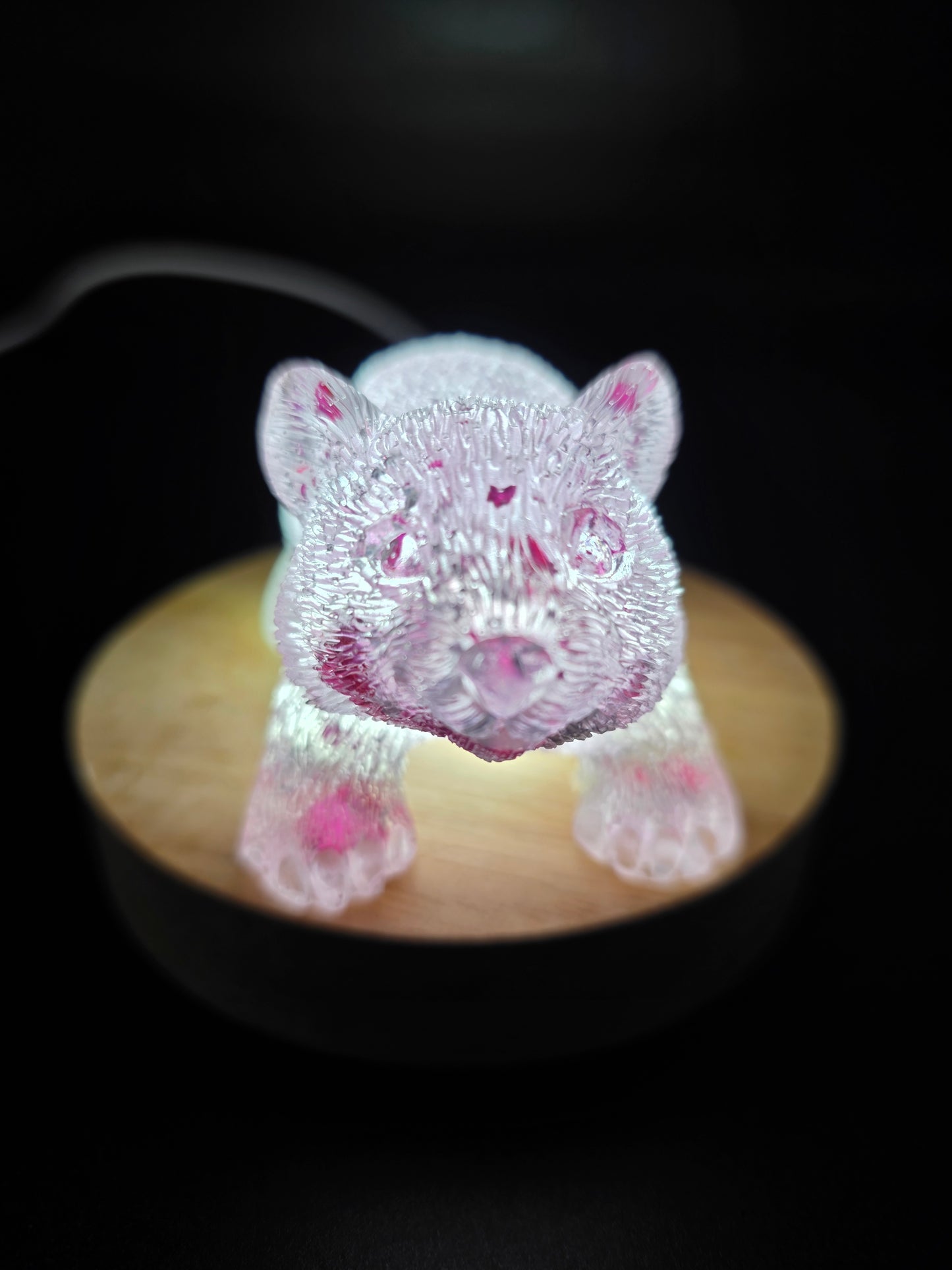 🐾 Resin Wombats – Single or Night-Light Combo 🐾