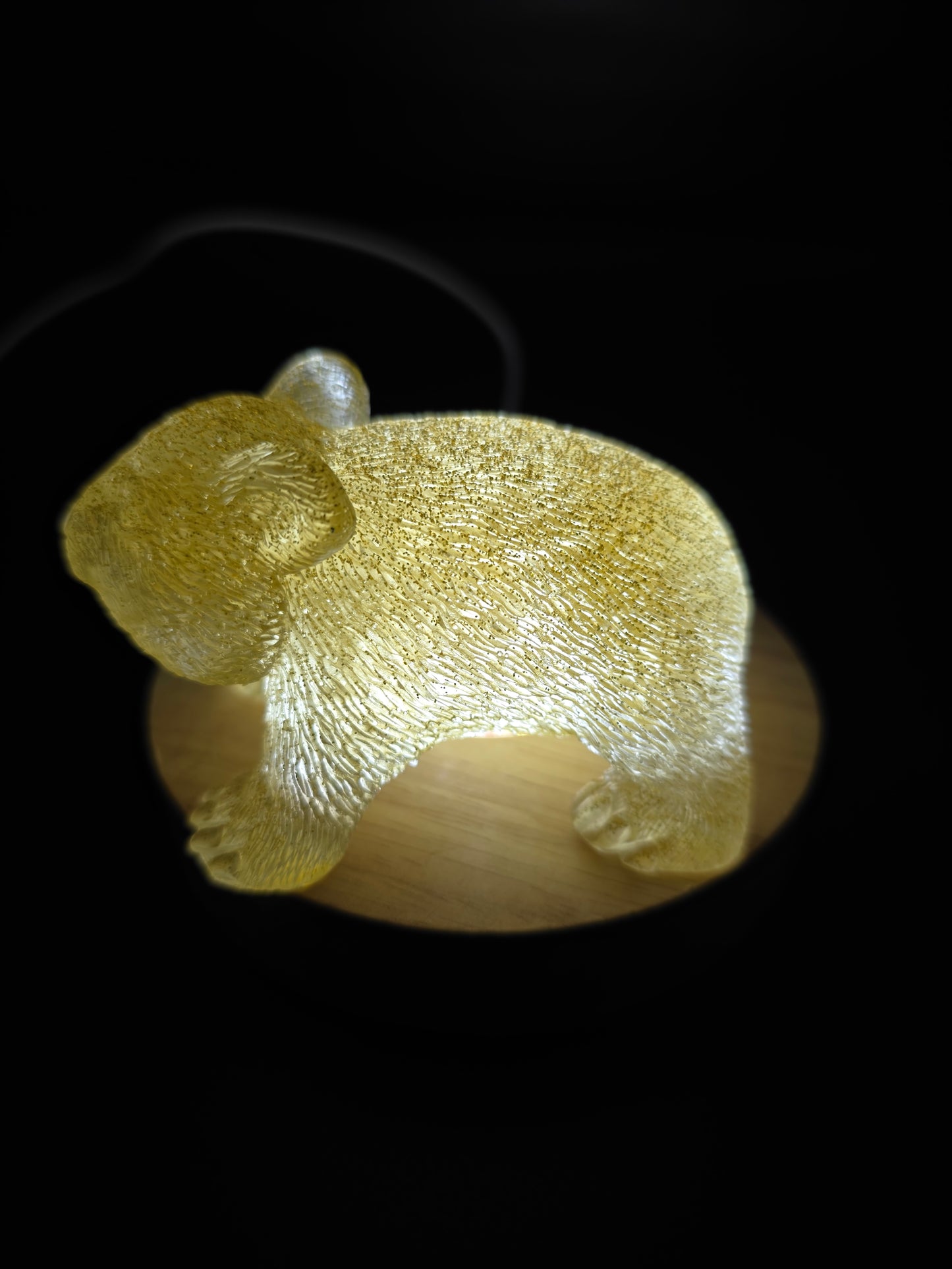 🐾 Resin Wombats – Single or Night-Light Combo 🐾