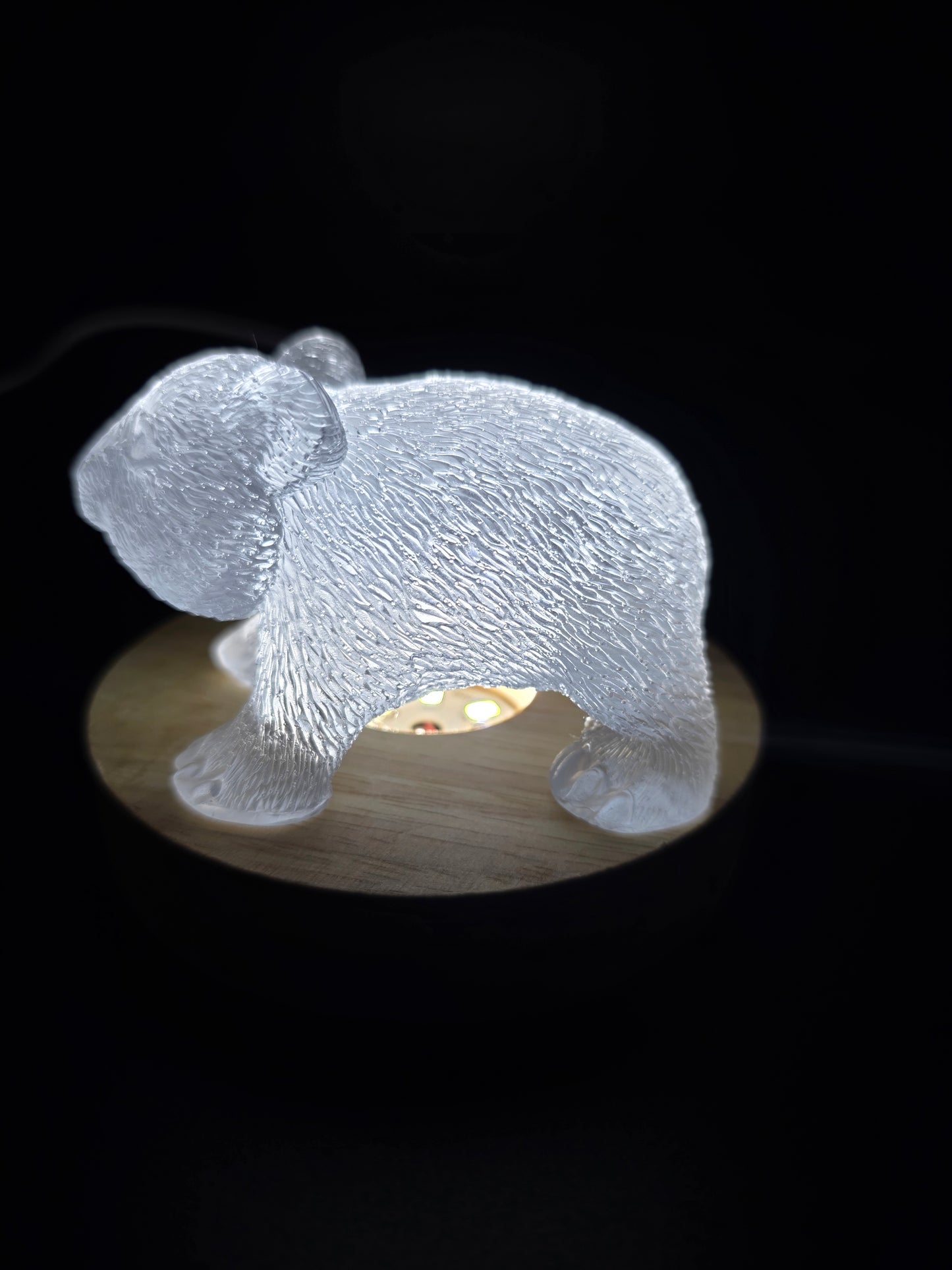 🐾 Resin Wombats – Single or Night-Light Combo 🐾
