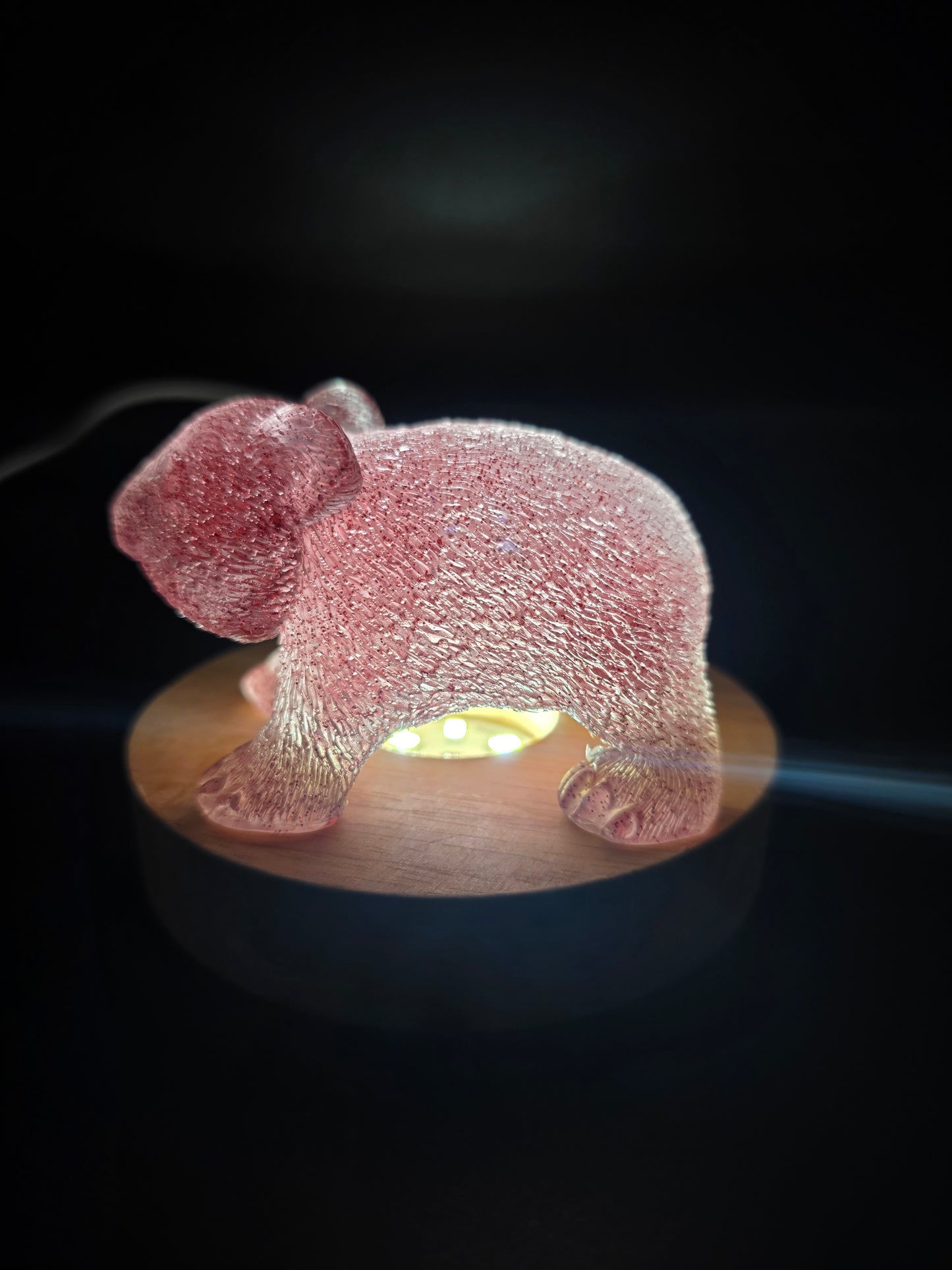 🐾 Resin Wombats – Single or Night-Light Combo 🐾