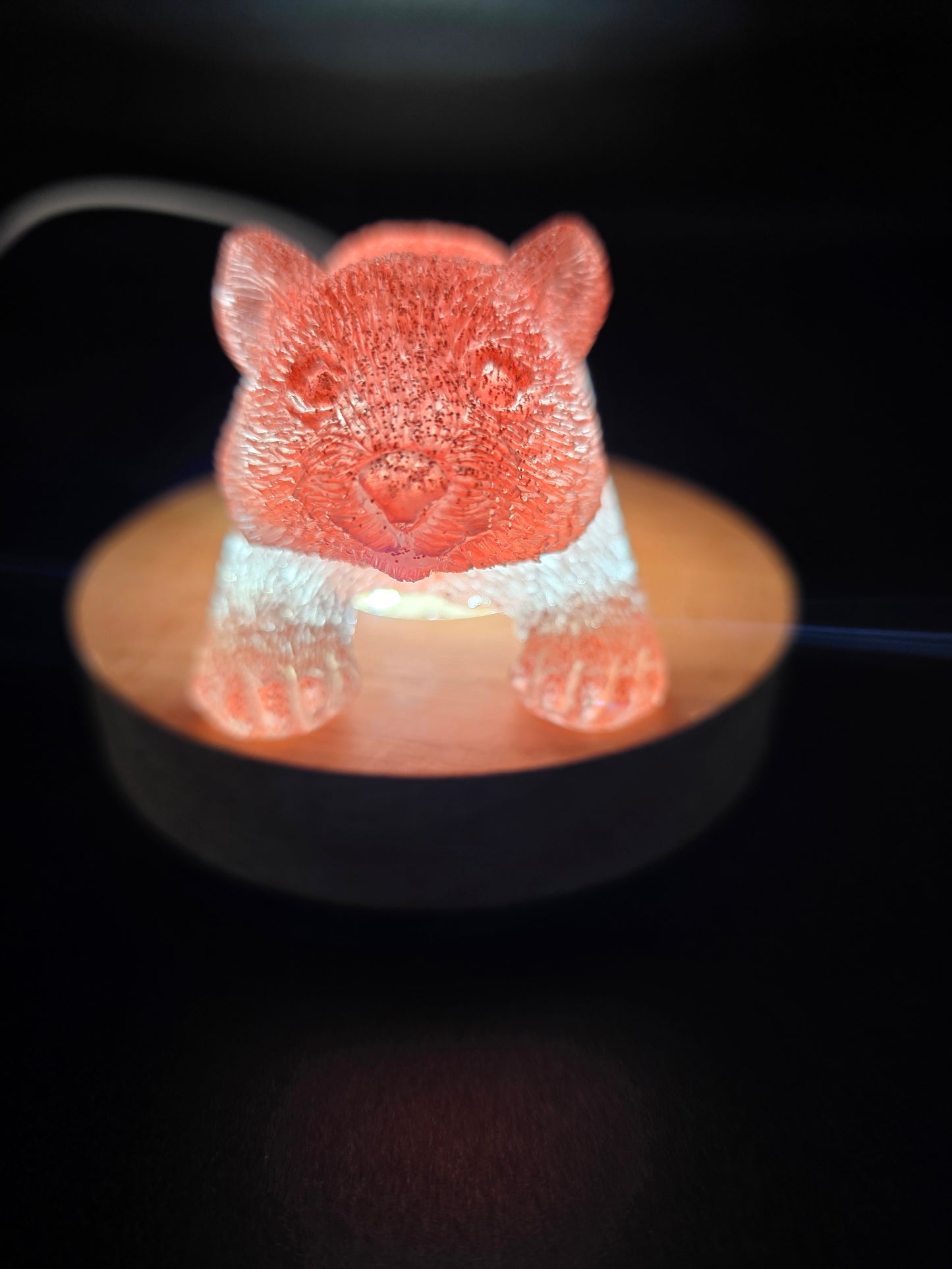 🐾 Resin Wombats – Single or Night-Light Combo 🐾