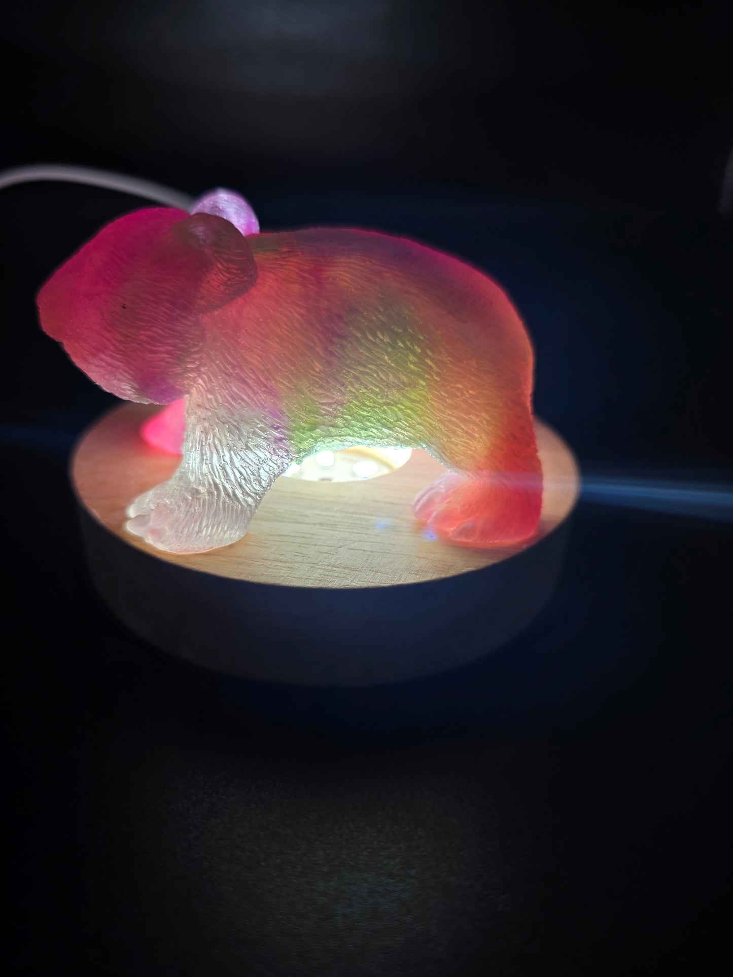 🐾 Resin Wombats – Single or Night-Light Combo 🐾