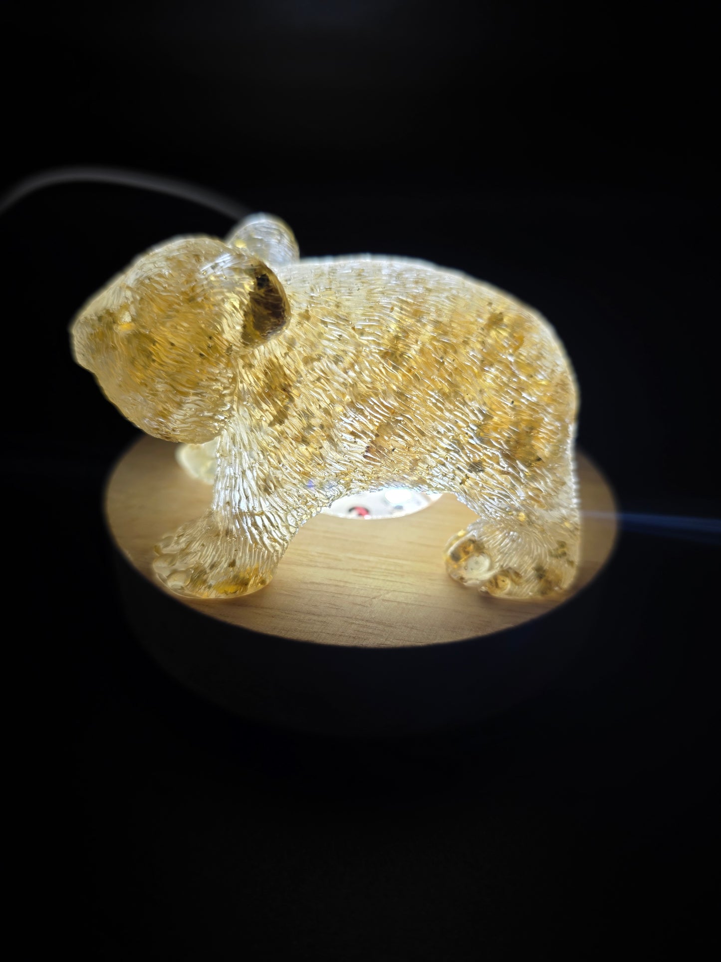 🐾 Resin Wombats – Single or Night-Light Combo 🐾