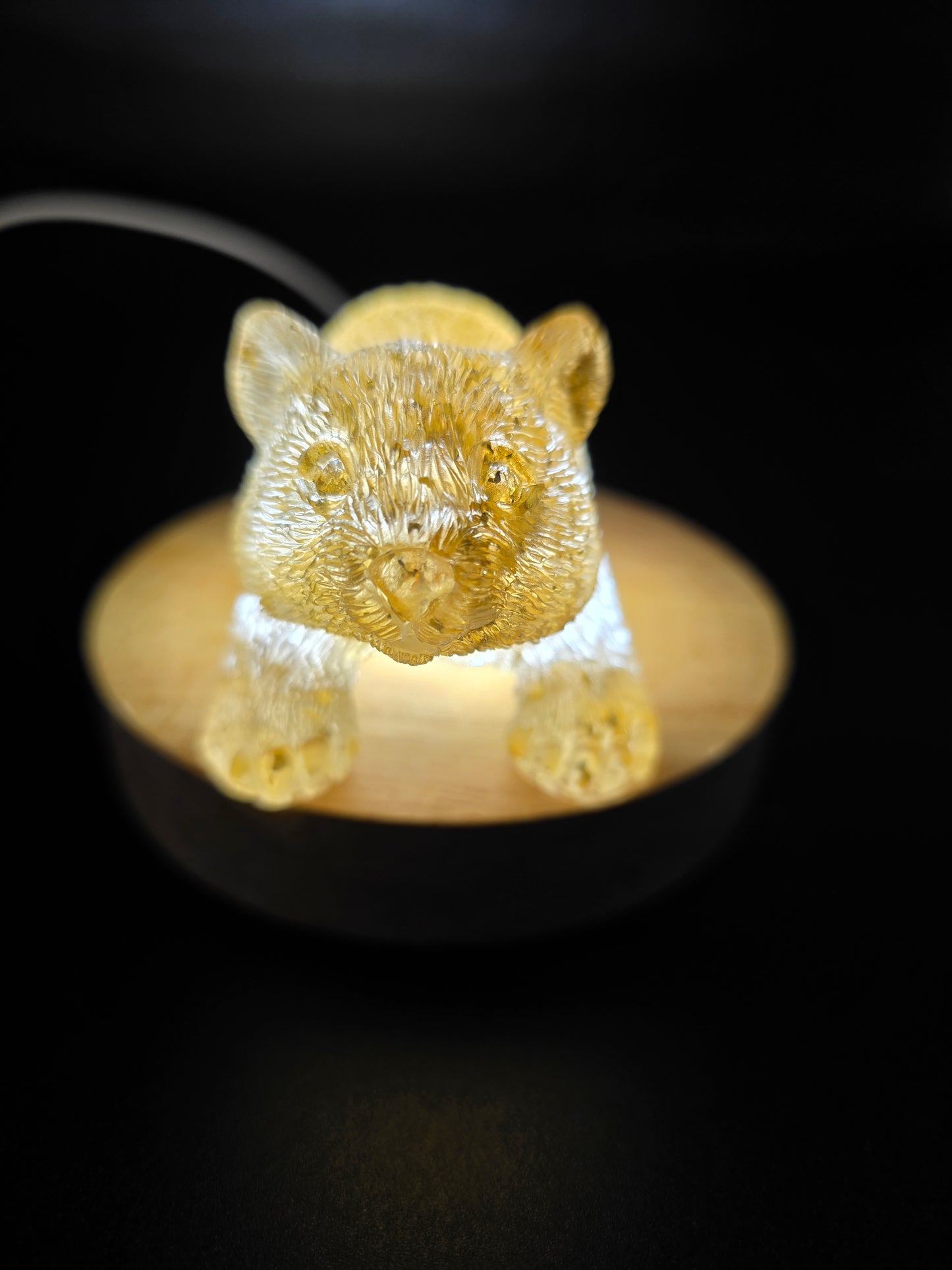 🐾 Resin Wombats – Single or Night-Light Combo 🐾