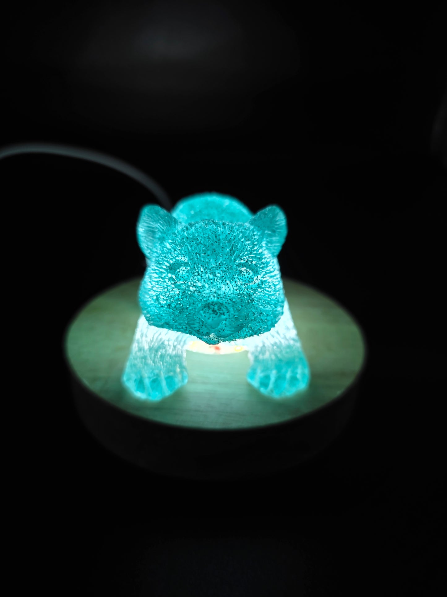 🐾 Resin Wombats – Single or Night-Light Combo 🐾