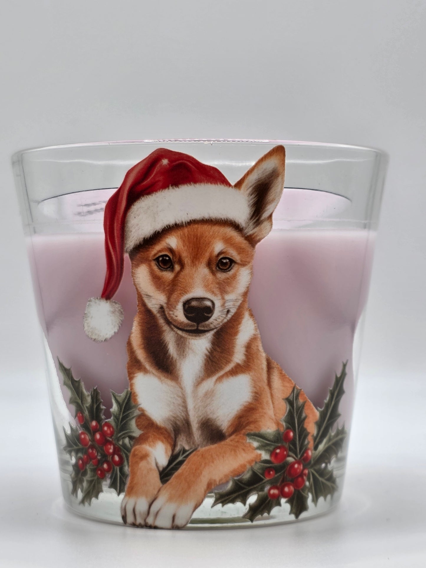 Christmas Australian Wildlife Scented Candles