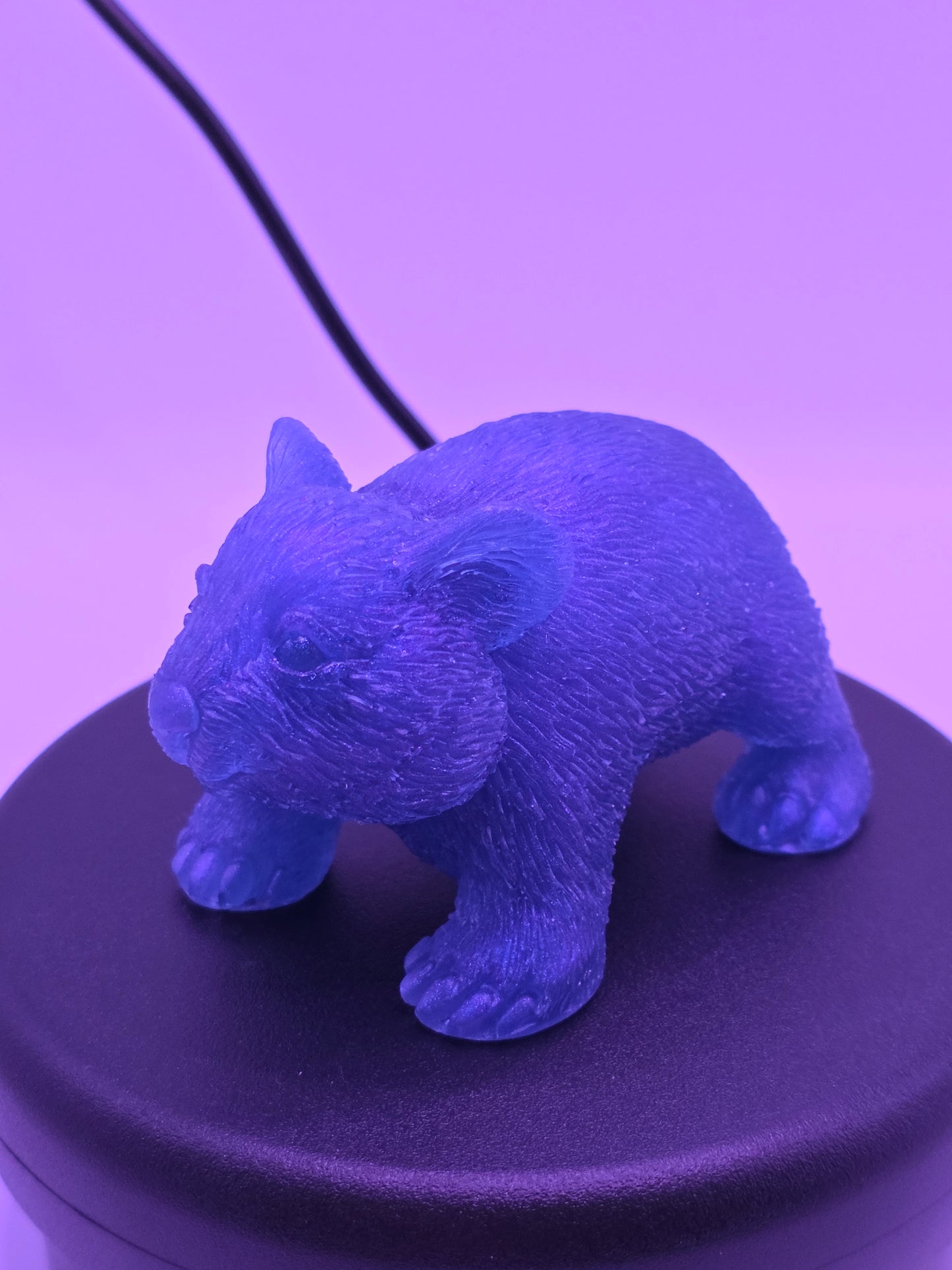 (NEW) Resin Wombats - Chameleon Range
