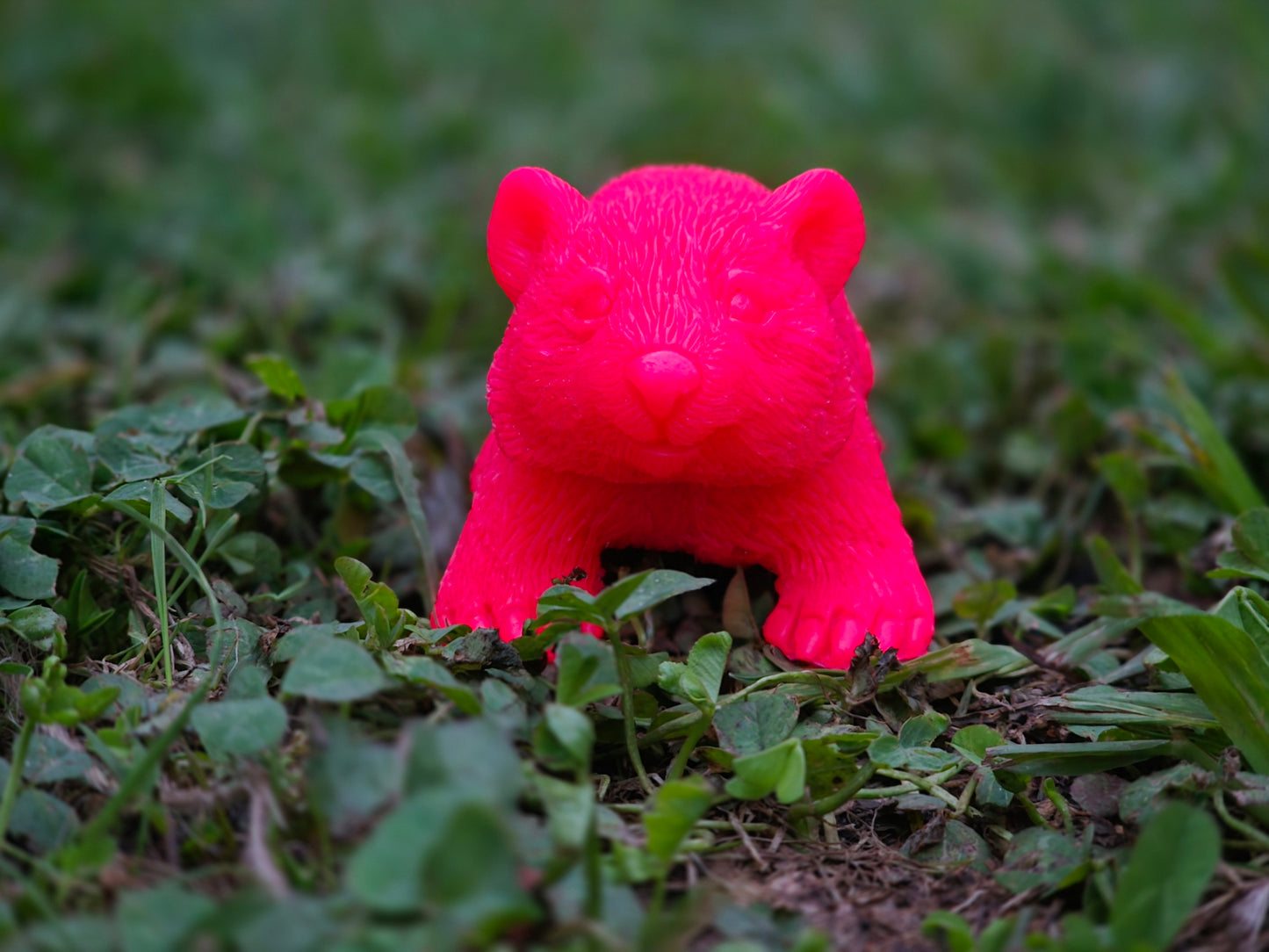 ⭐ Little Wombat Guardians – Glow in the Dark