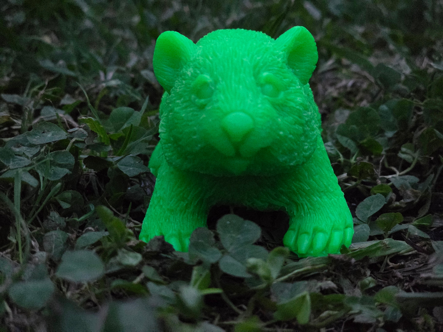 ⭐ Little Wombat Guardians – Glow in the Dark