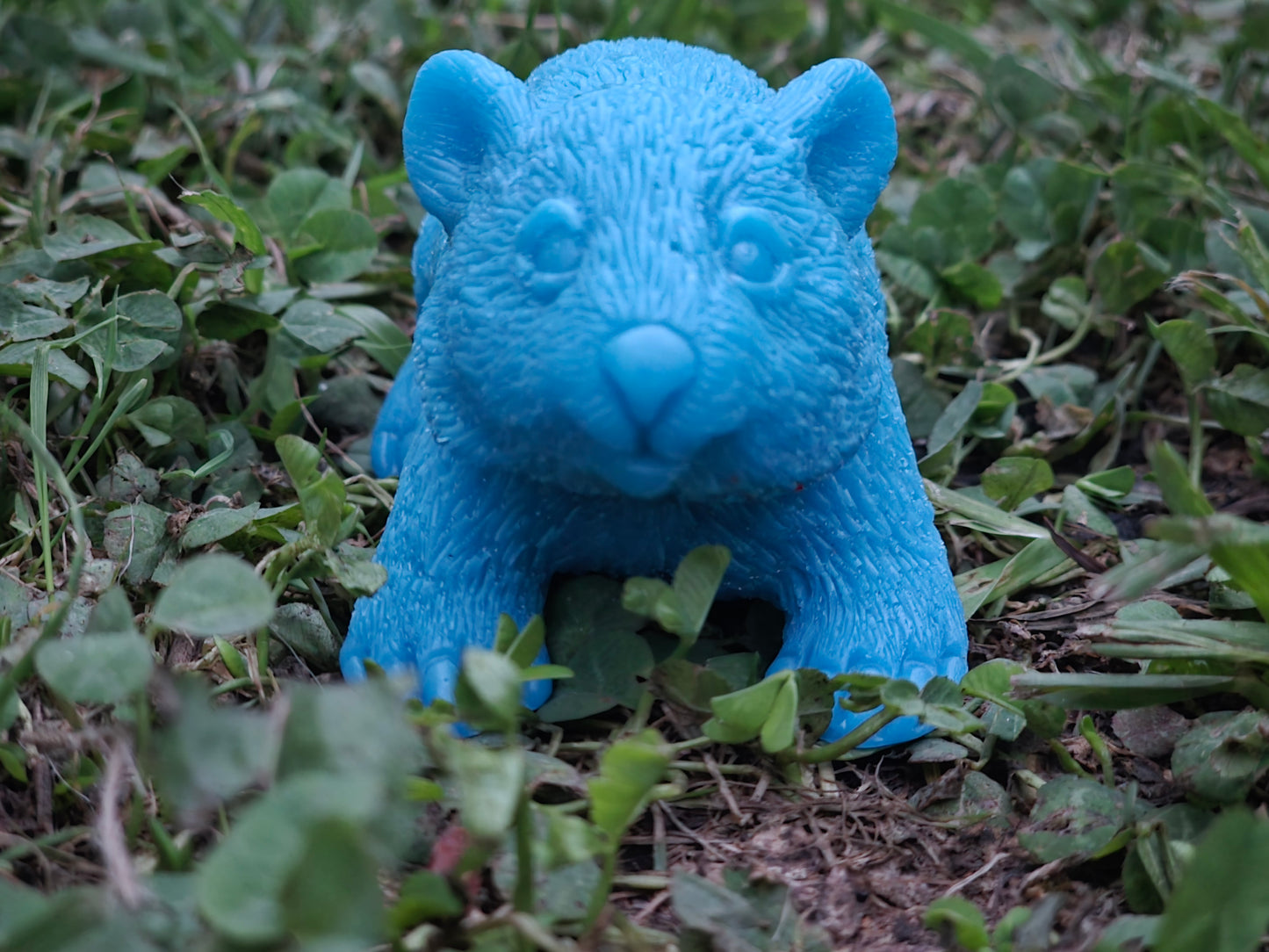 ⭐ Little Wombat Guardians – Glow in the Dark