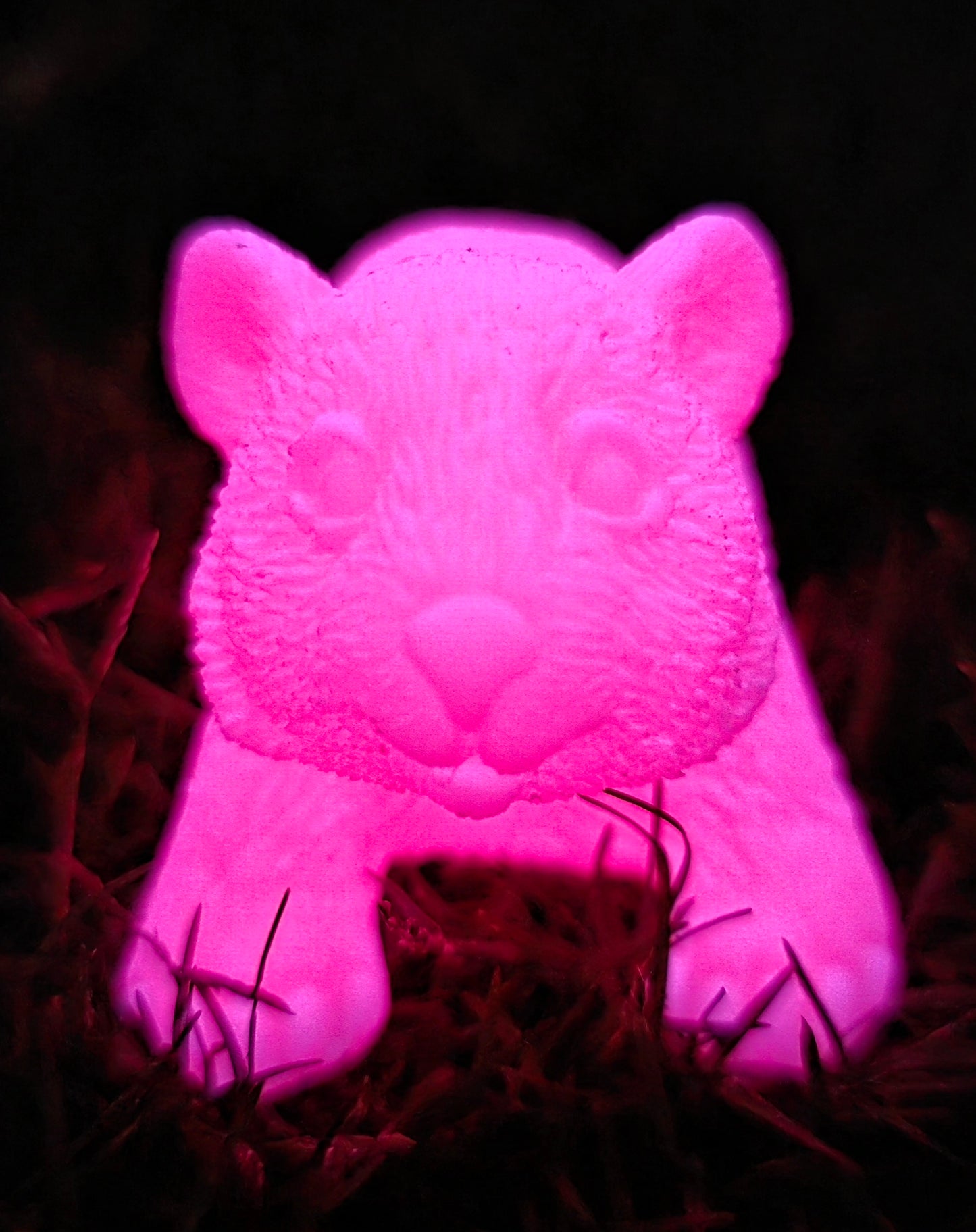⭐ Little Wombat Guardians – Glow in the Dark