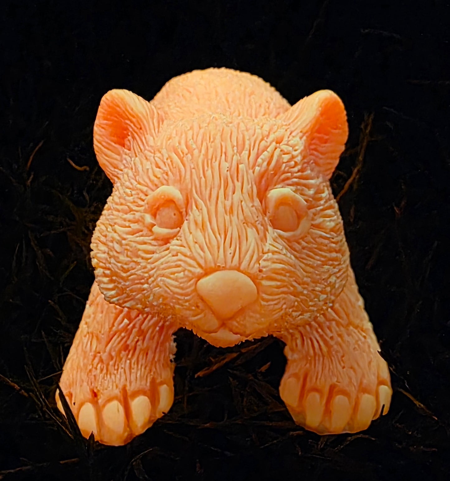 ⭐ Little Wombat Guardians – Glow in the Dark