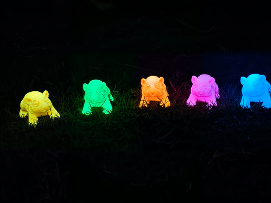⭐ Little Wombat Guardians – Glow in the Dark