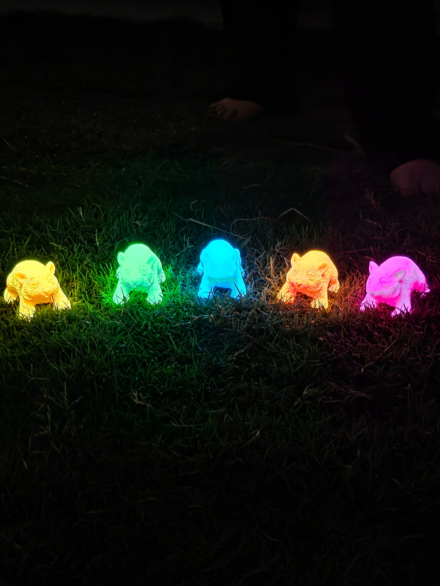 ⭐ Little Wombat Guardians – Glow in the Dark