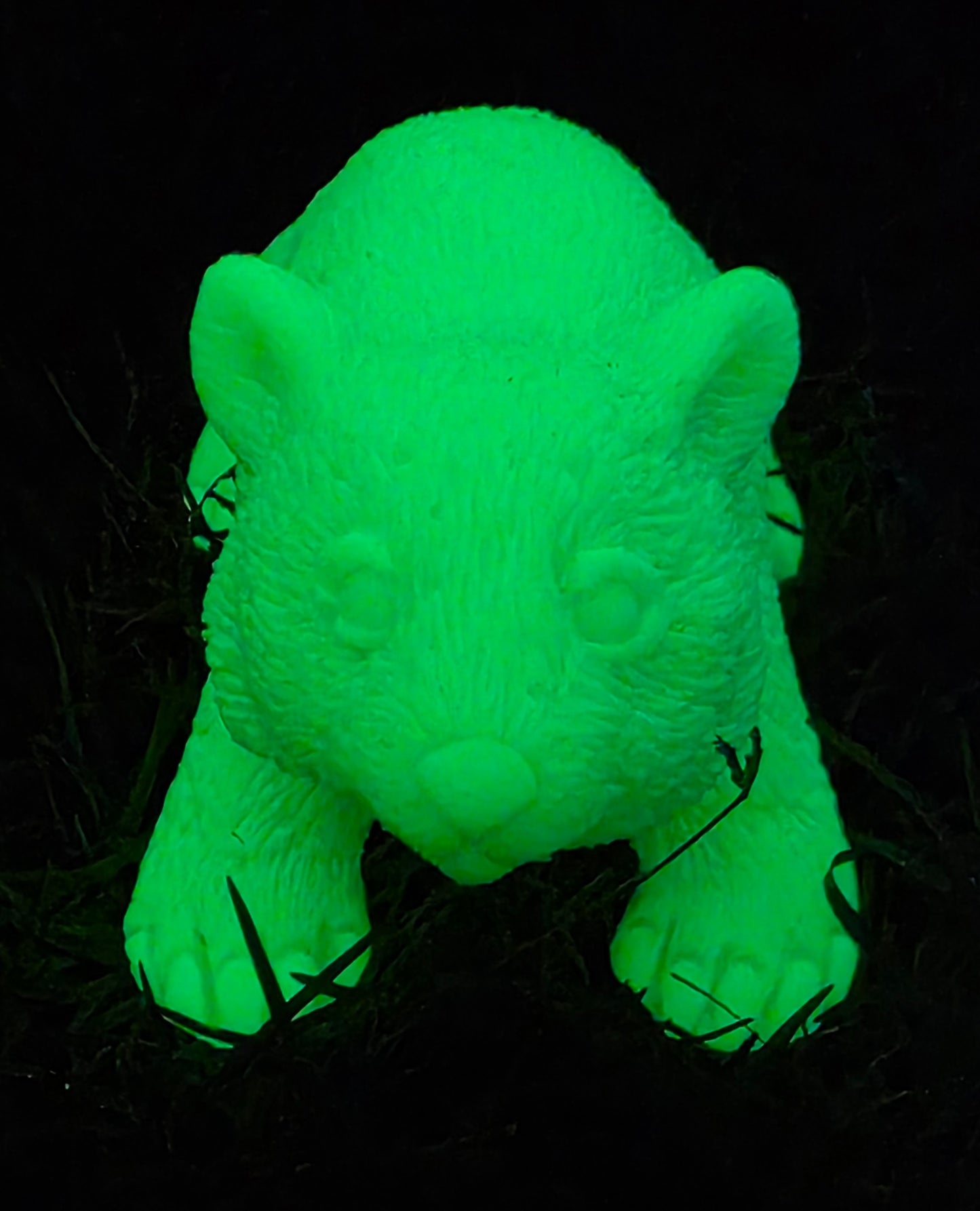 ⭐ Little Wombat Guardians – Glow in the Dark