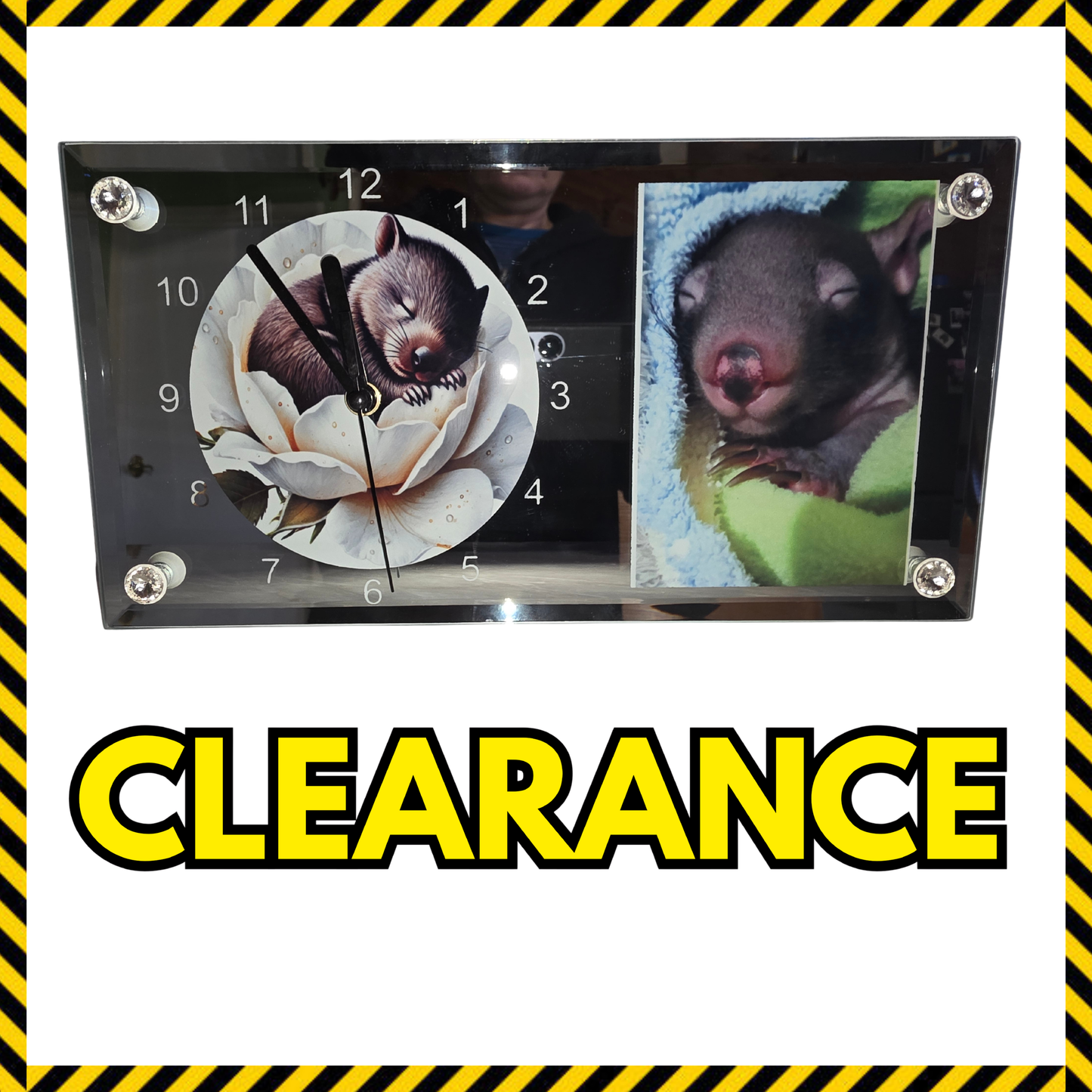 (Clearance) Wombat Wisdom Clocks
